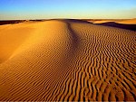 tablou Sahara