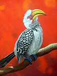 tablou African bird