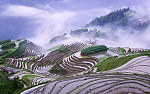 tablou China