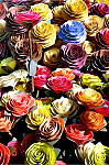 tablou Flori