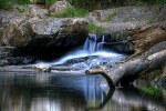 tablou Natura