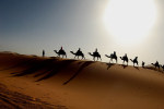tablou Sahara